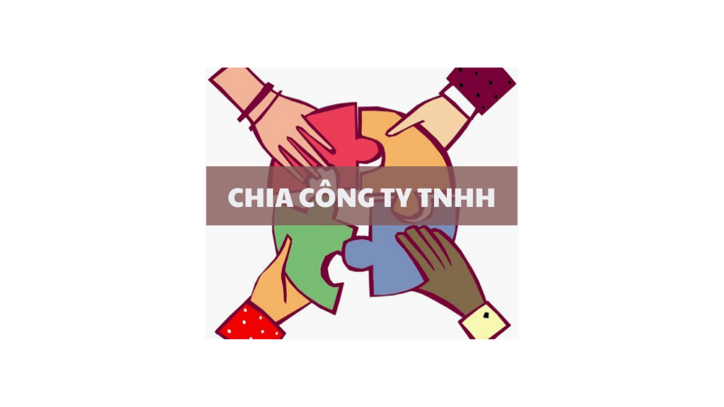 thủ tục chia công ty TNHH