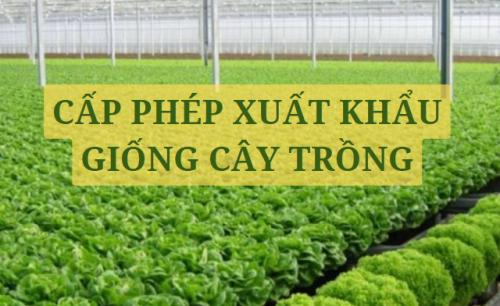 thủ tục cấp phép nhập khẩu giống cây trồng