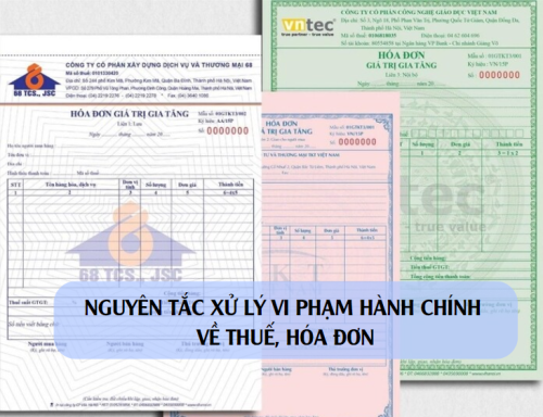 Nguyên tắc xử phạt vi phạm hành chính về thuế