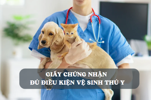 Thủ tục cấp giấy chứng nhận đủ điều kiện vệ sinh thú y