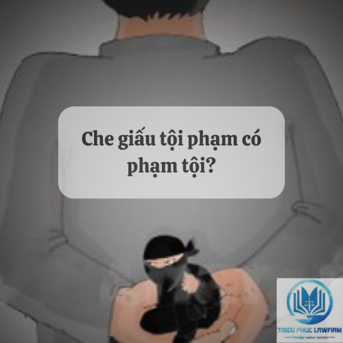 Che giấu tội phạm có phạm tội