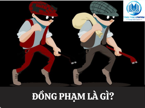 Đồng phạm là gì?