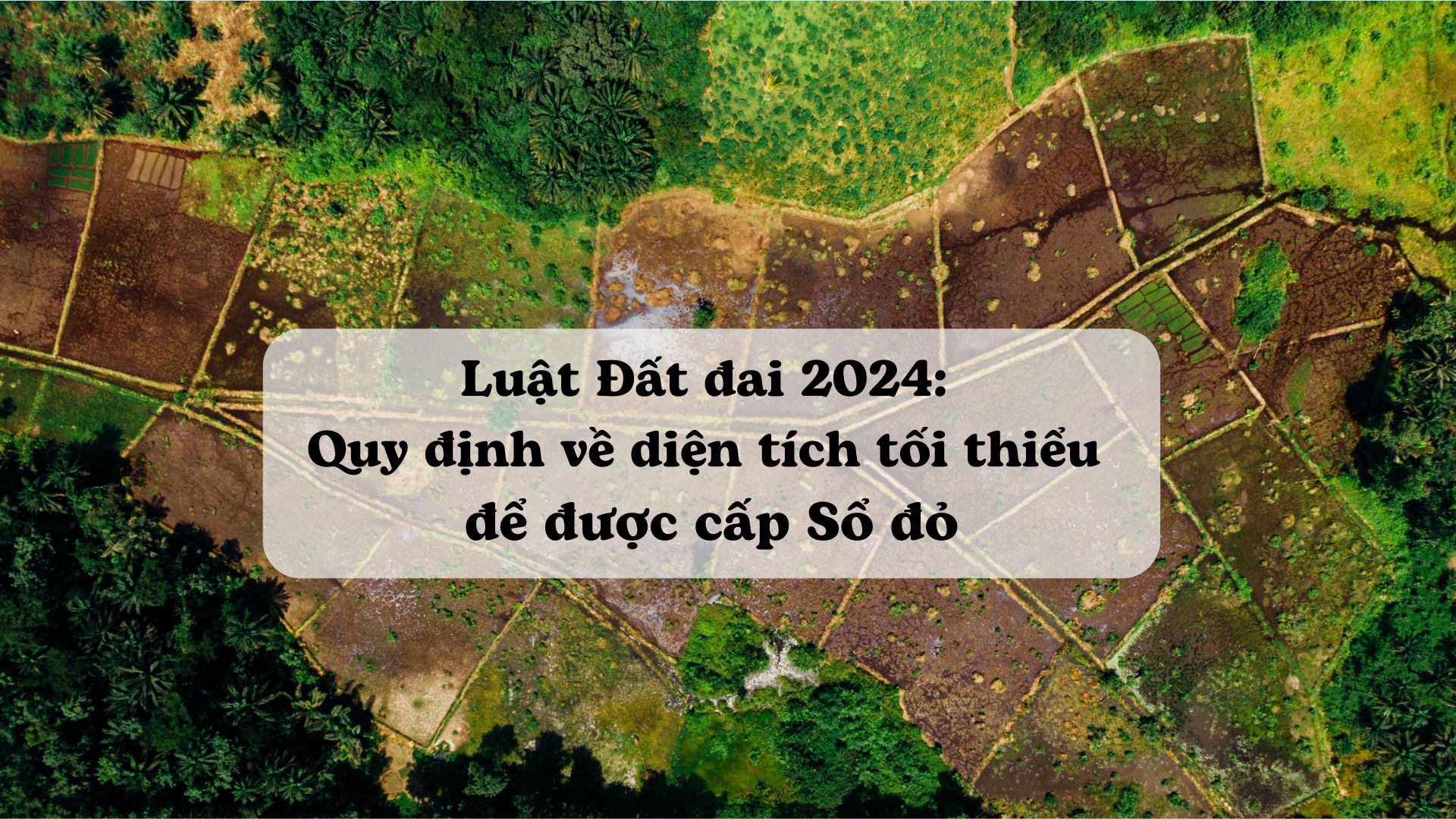 Ảnh minh họa - Nguồn từ Internet
