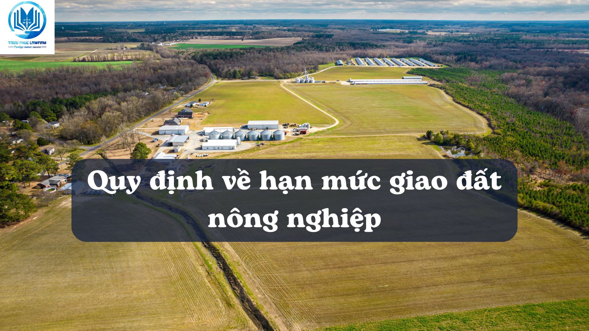 Ảnh minh họa - Nguồn từ Internet