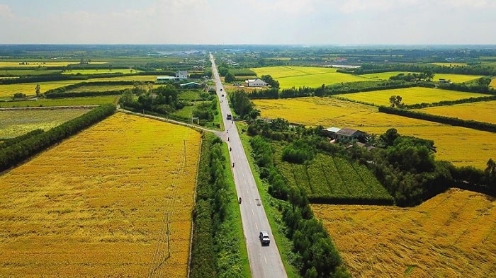 Ảnh minh họa - Nguồn từ Internet