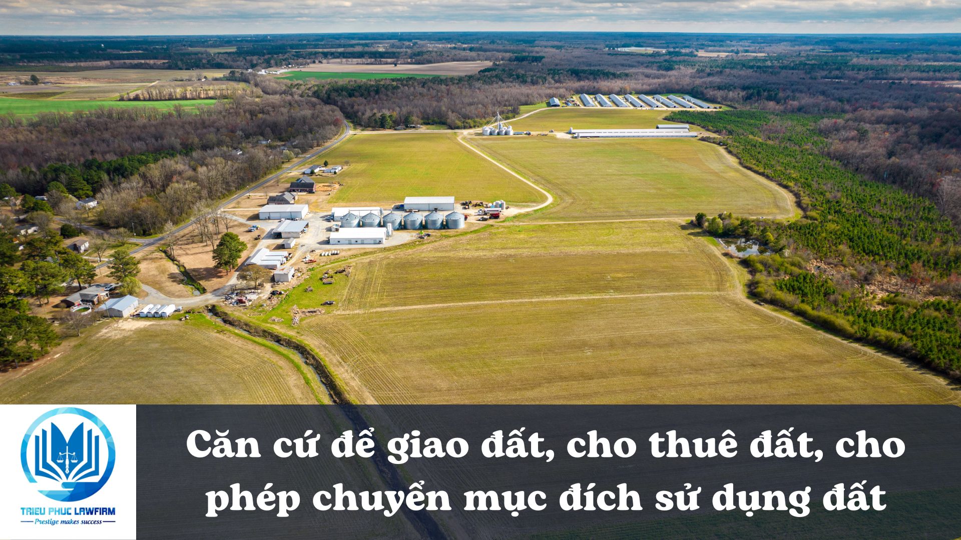 Ảnh minh họa - Nguồn từ Internet