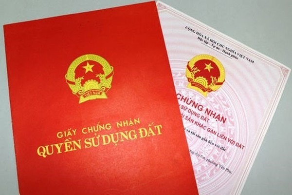 Ảnh minh họa - Nguồn từ Internet