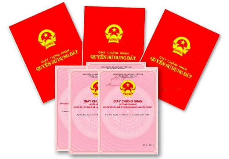 Ảnh minh họa - Nguồn từ Internet