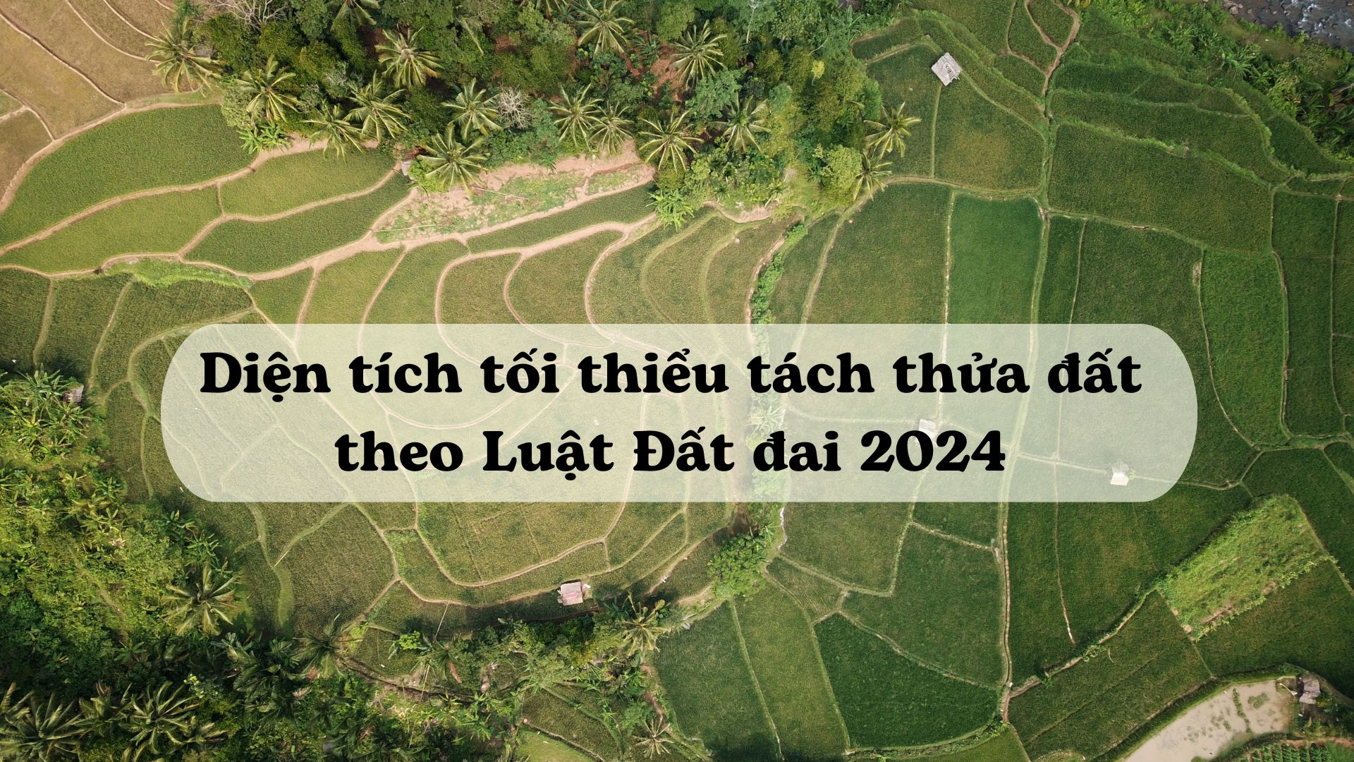 Ảnh minh họa - Nguồn từ Internet