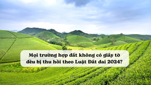 Mọi trường hợp đất không có giấy tờ đều bị thu hồi theo Luật Đất đai 2024?
