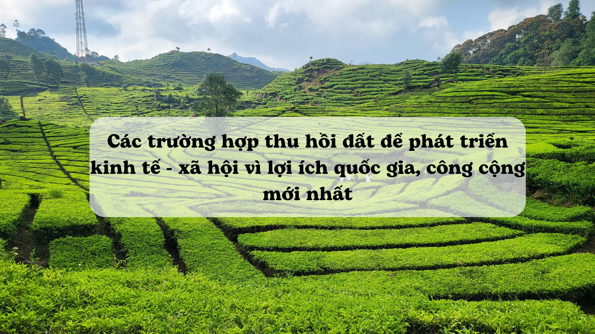 Ảnh minh họa - Nguồn từ Internet