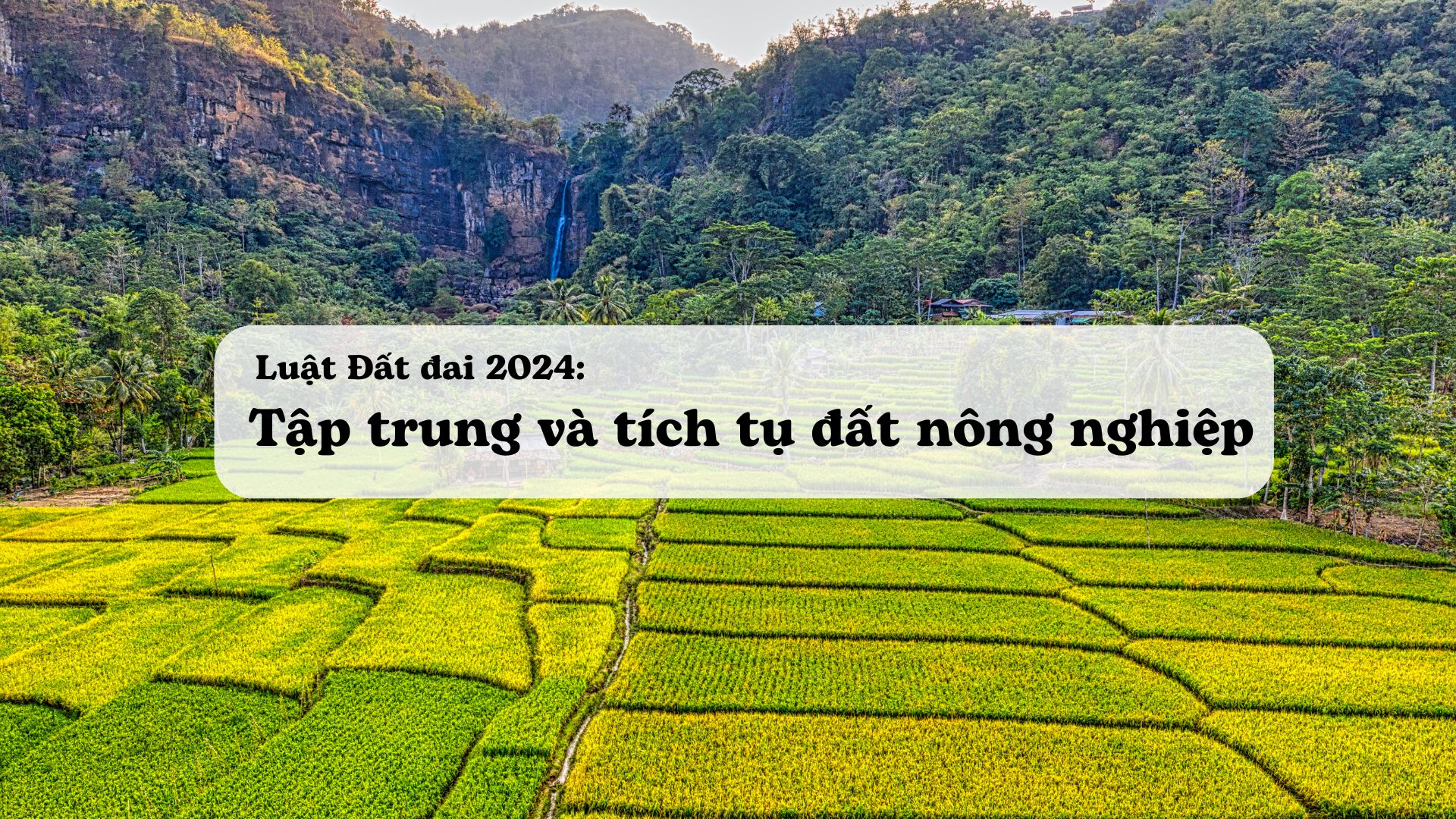 Ảnh minh họa - Nguồn từ Internet