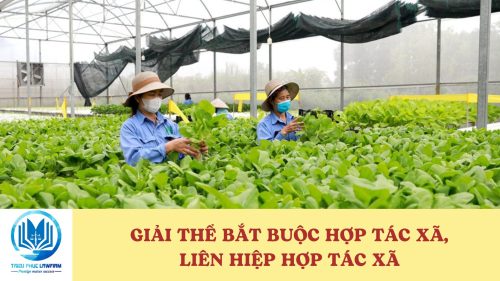 Đăng ký giải thể bắt buộc hợp tác xã