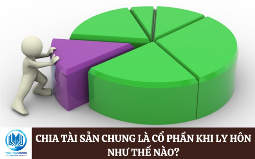 Chia tài sản chung là cổ phần khi ly hôn như thế nào