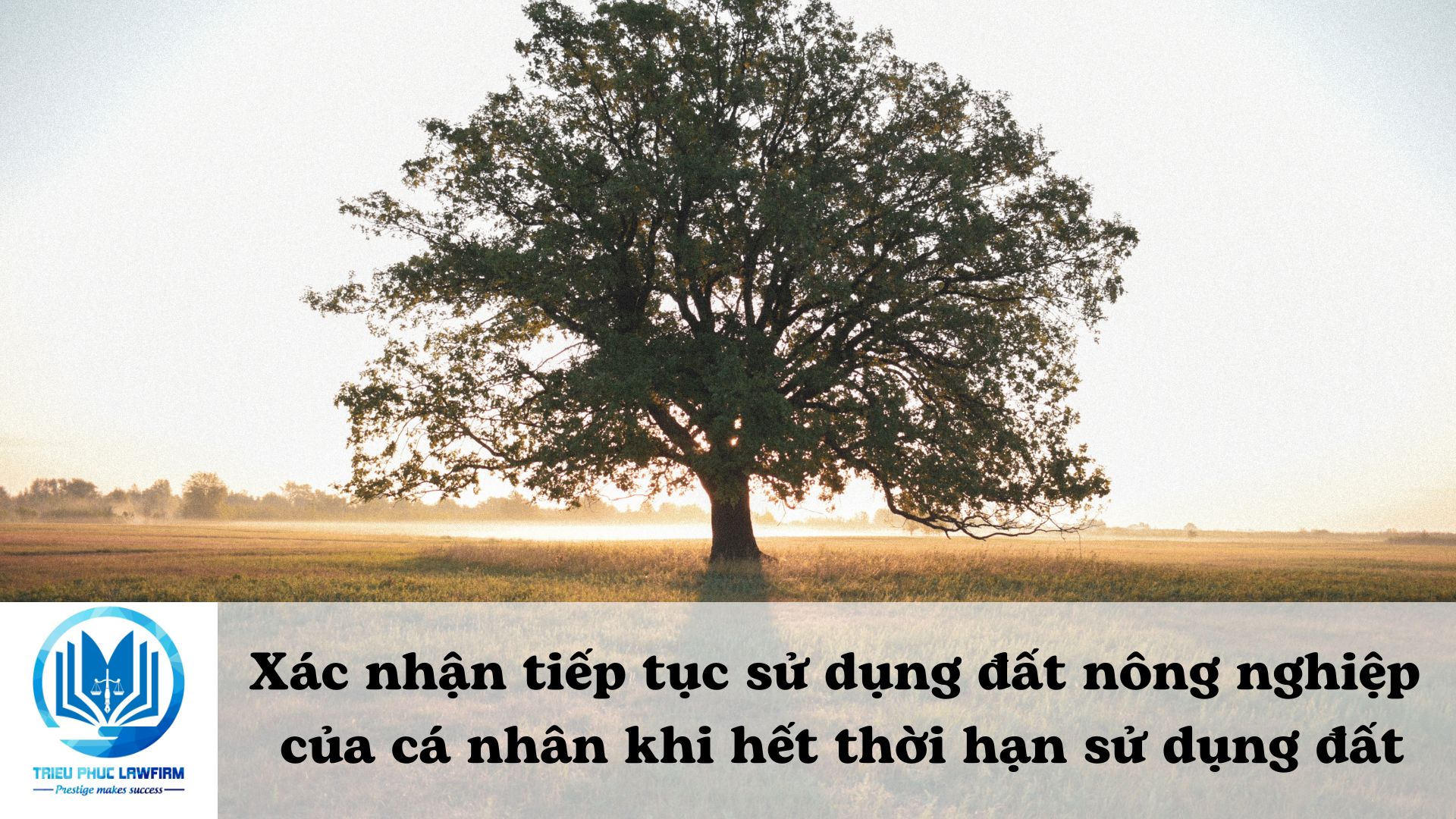 Ảnh minh họa - Nguồn từ Internet