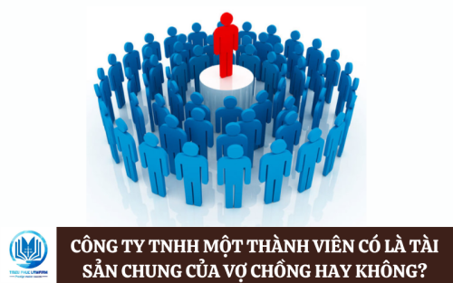 công ty tnhh một thành viên có là tài sản chung của vợ chồng hay không