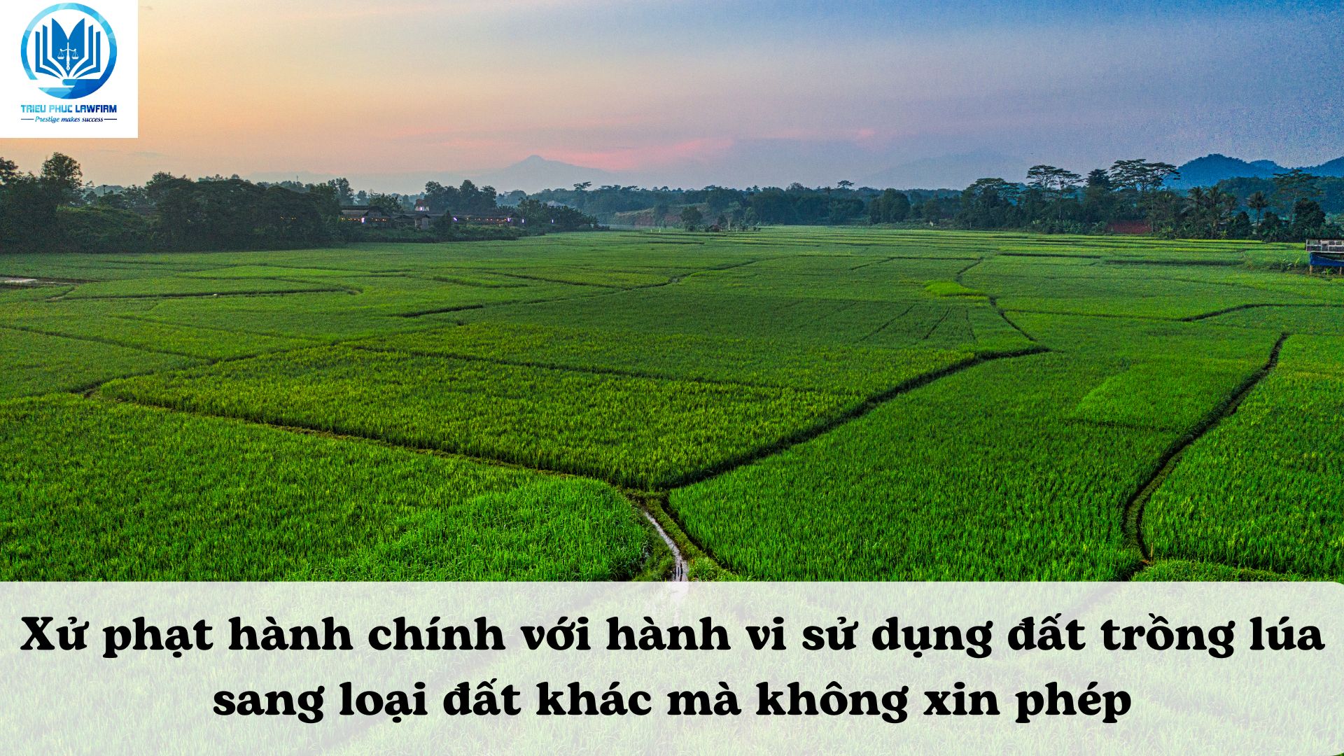 Ảnh minh họa - Nguồn từ Internet