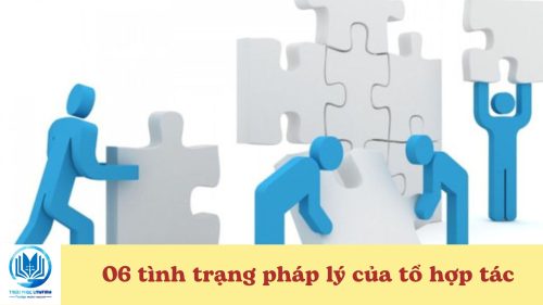 06 tình trạng pháp lý của tổ hợp tác