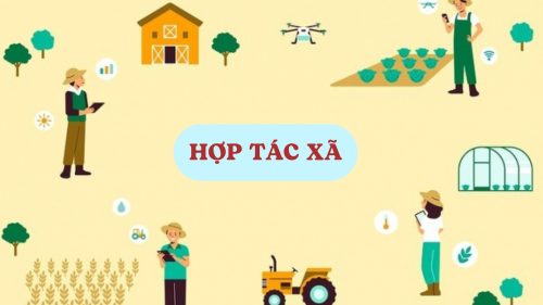 Từ 01/7/2024: Nguyên tắc tổ chức quản lý và hoạt động của hợp tác xã