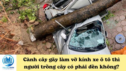 Cành cây gãy làm vỡ kính xe ô tô thì người trồng cây có phải đền không?