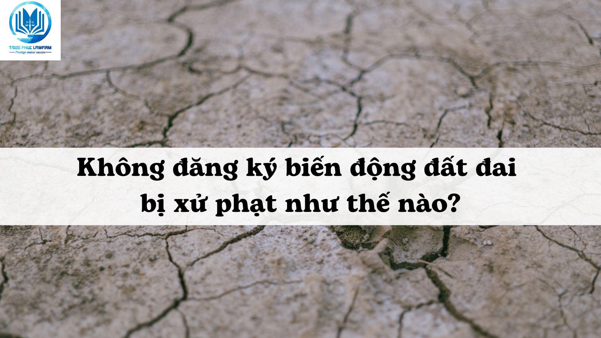 Ảnh minh họa - Nguồn từ Internet