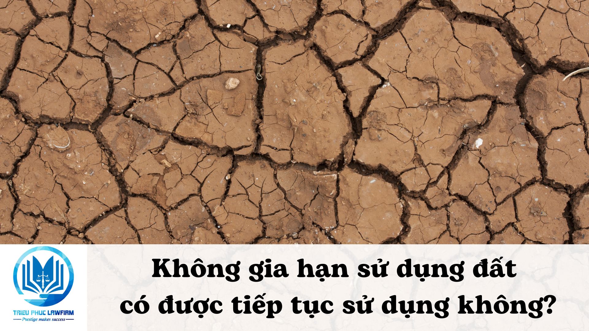 Ảnh minh họa - Nguồn từ Internet
