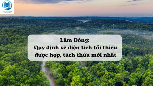 Quy định về diện tích tối thiểu được hợp tách thửa tỉnh Lâm Đồng mới nhất