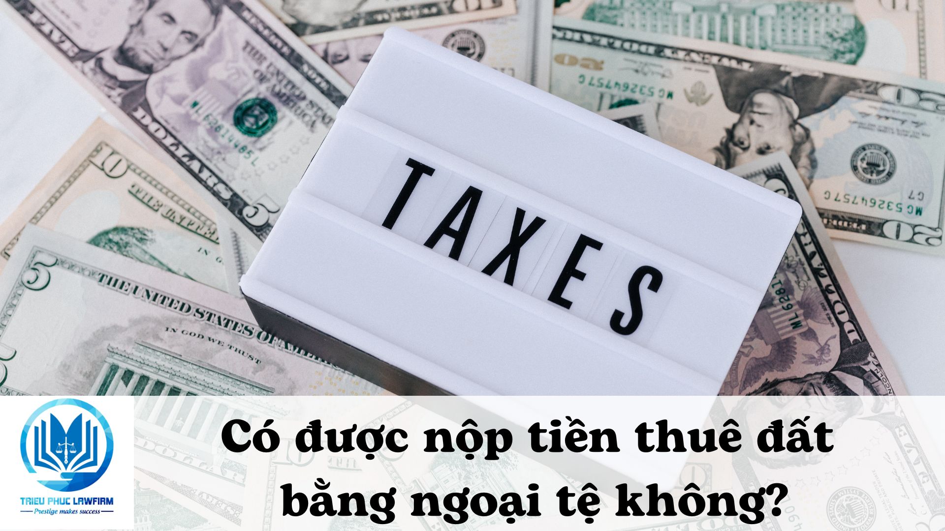 Ảnh minh họa - Nguồn từ Internet