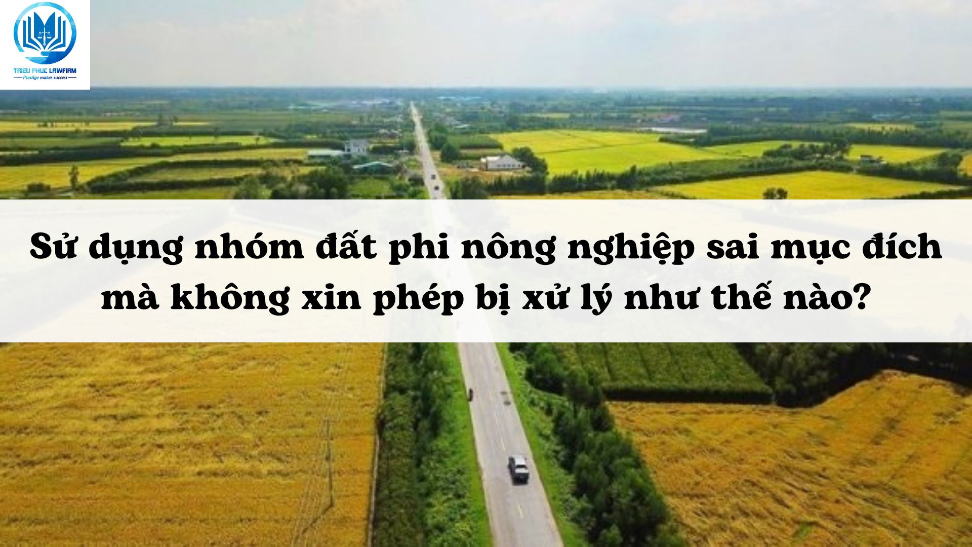 Ảnh minh họa - Nguồn từ Internet