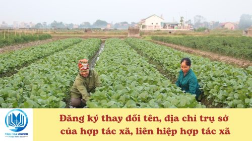 Đăng ký thay đổi tên địa chỉ trụ sở của hợp tác xã liên hiệp hợp tác xã