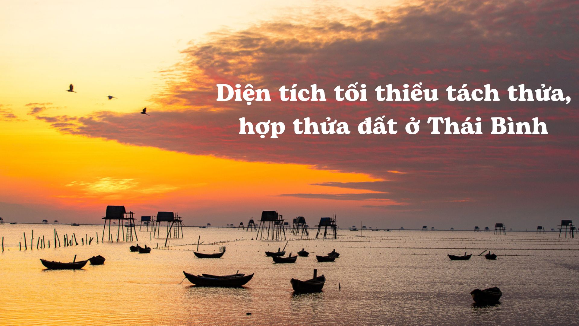 Ảnh minh họa - Nguồn từ Internet