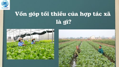 Vốn góp tối thiểu của hợp tác xã là gì?