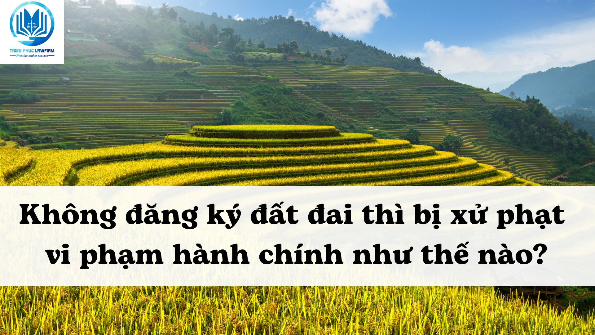 Ảnh minh họa - Nguồn từ Internet